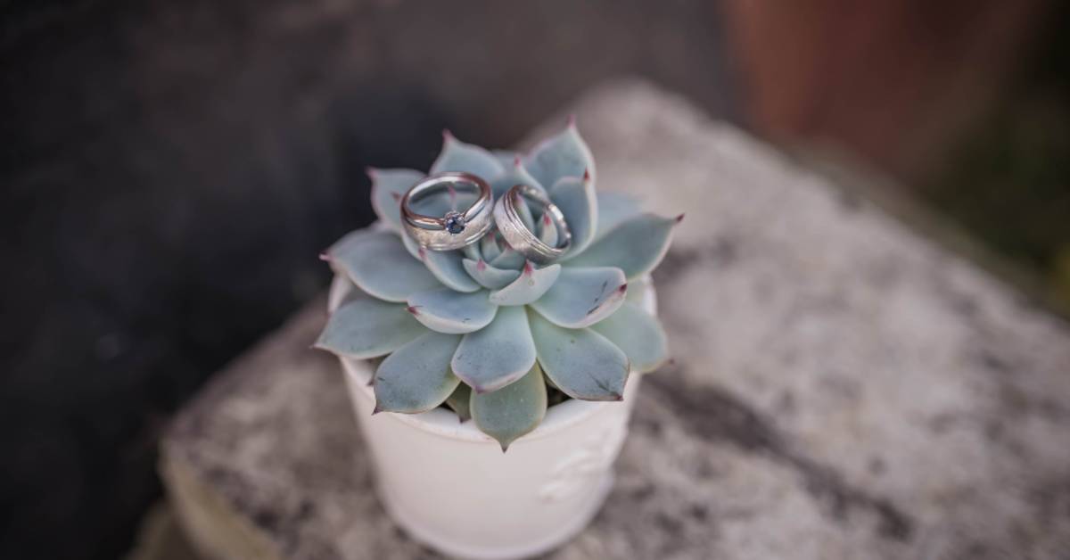 4 WEDDING TRENDS TO TRY. Desktop Image